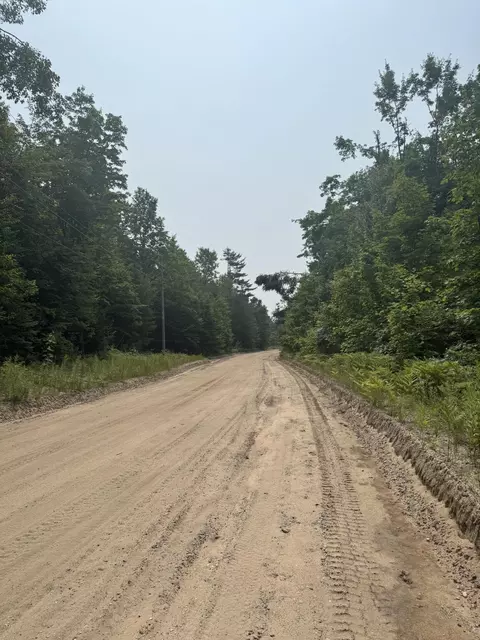 1 75 Ac Vl Bradford Dr, Frederic, MI 49733 photo 5