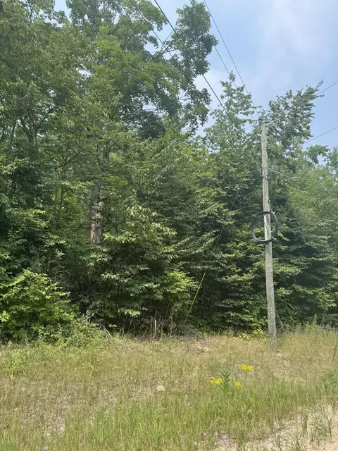 1 75 Ac Vl Bradford Dr, Frederic, MI 49733 photo 3