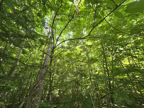 629 Algonquin Trl, Mio, MI 48647 photo 11