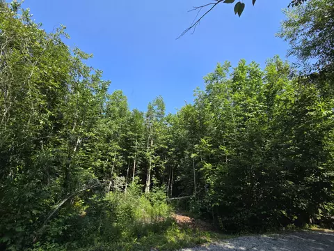 629 Algonquin Trl, Mio, MI 48647 photo 12