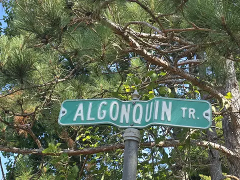629 Algonquin Trl, Mio, MI 48647 photo 5