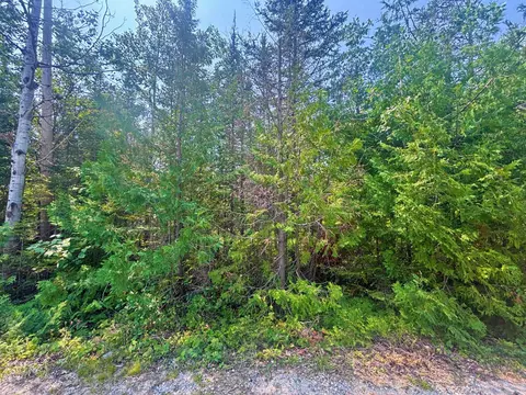 lot73 Timberway Dr, Presque Isle, MI 49777