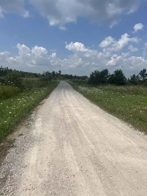 Other - 2355 M65 N, Lachine, MI 49753 photo 5 of 11