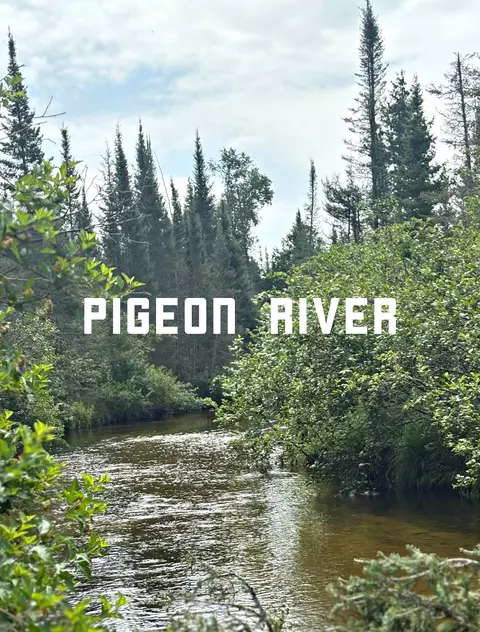 177 Acres Sawyer Rd, Gaylord, MI 49735