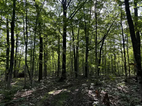 72 75 Ac Shubert Hwy, Presque Isle, MI 49777