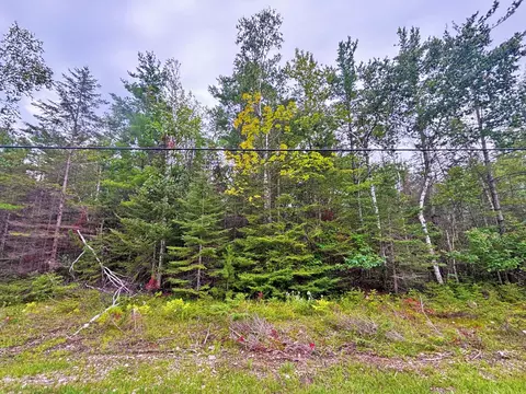 lot305 Kauffman Rd, Presque Isle, MI 49777