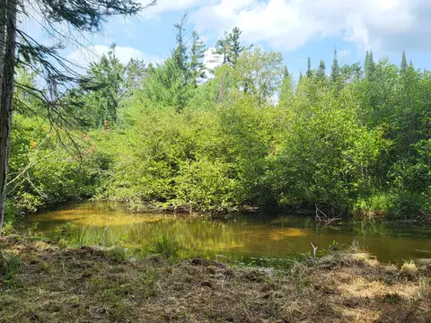 View/Area - 3459 Short St, Grayling, MI 49738 photo 5 of 7
