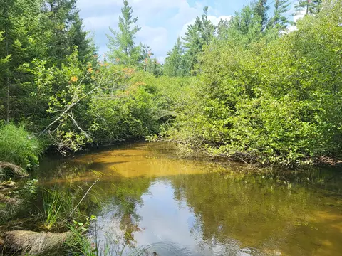 View/Area - 3459 Short St, Grayling, MI 49738 photo 1 of 7