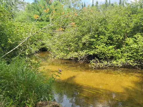 View/Area - 3459 Short St, Grayling, MI 49738 photo 7 of 7
