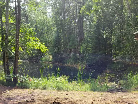Exterior - 3459 Short St, Grayling, MI 49738 photo 26 of 33