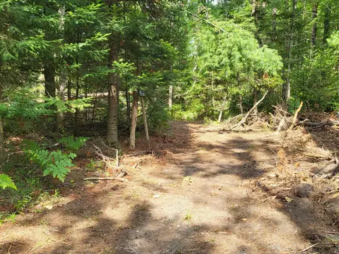 Exterior - 3459 Short St, Grayling, MI 49738 photo 27 of 33