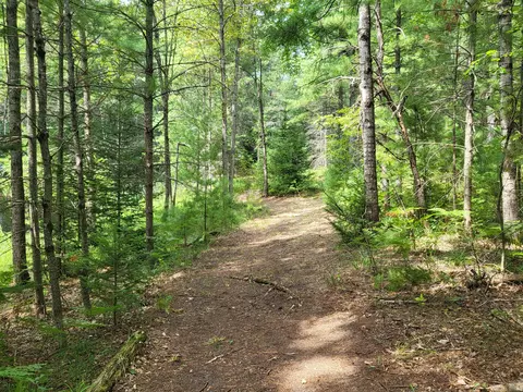 Other - 3459 Short St, Grayling, MI 49738 photo 22 of 31