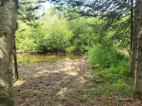 Other - 3459 Short St, Grayling, MI 49738 photo 24 of 31