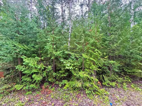 lot229 Sunaqua Dr, Presque Isle, MI 49777