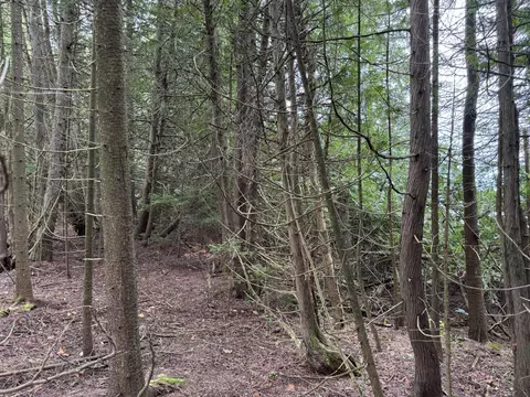lot2 Pte La Barbe Rd, St. Ignace, MI 49781 photo 4