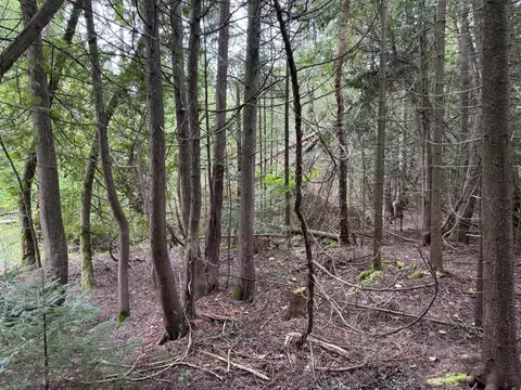 lot2 Pte La Barbe Rd, St. Ignace, MI 49781 photo 5