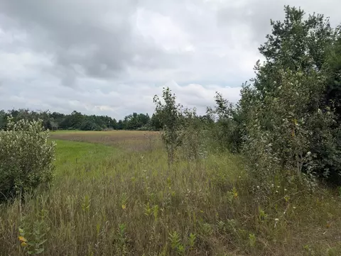 V/l 1ac S River Road, Cheboygan, MI 49721