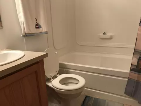 Bath - 3061 Garling Rd, Fairview, MI 48621 photo 1 of 3