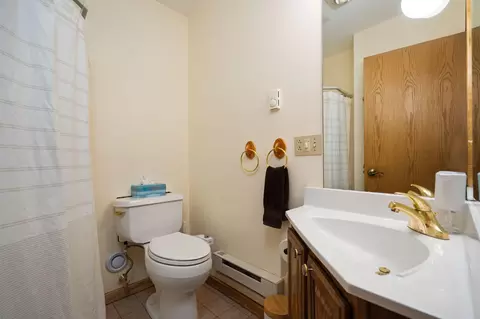 Bath - 3995 Old Vanderbilt Rd, Vanderbilt, MI 49795 photo 3 of 3