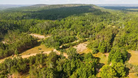 View/Area - 3995 Old Vanderbilt Rd, Vanderbilt, MI 49795 photo 3 of 5