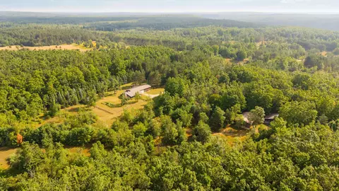 View/Area - 3995 Old Vanderbilt Rd, Vanderbilt, MI 49795 photo 4 of 5