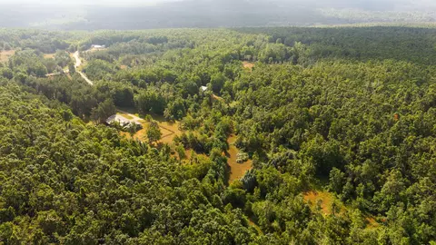 View/Area - 3995 Old Vanderbilt Rd, Vanderbilt, MI 49795 photo 1 of 5