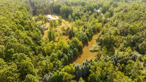 View/Area - 3995 Old Vanderbilt Rd, Vanderbilt, MI 49795 photo 2 of 5