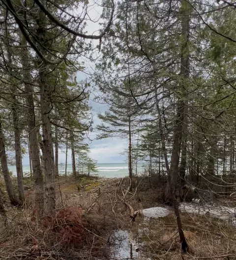 lot23 Raven Dr, Ocqueoc, MI 49759