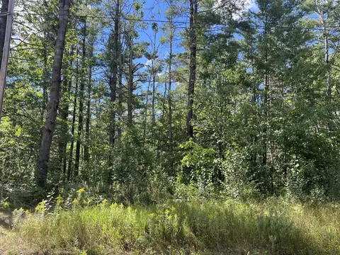 V/l .37 Ac Dorothy Drive, Gaylord, MI 49735