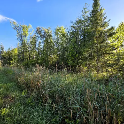 V/L 68AC Salina Road #68.21AC - 032-031-000-251-00, Lachine, MI 49753