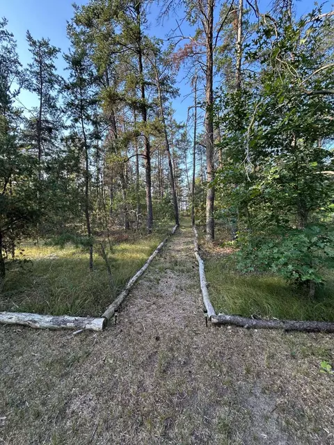 Other - 2340 Monroe St, Mio, MI 48647 photo 5 of 6