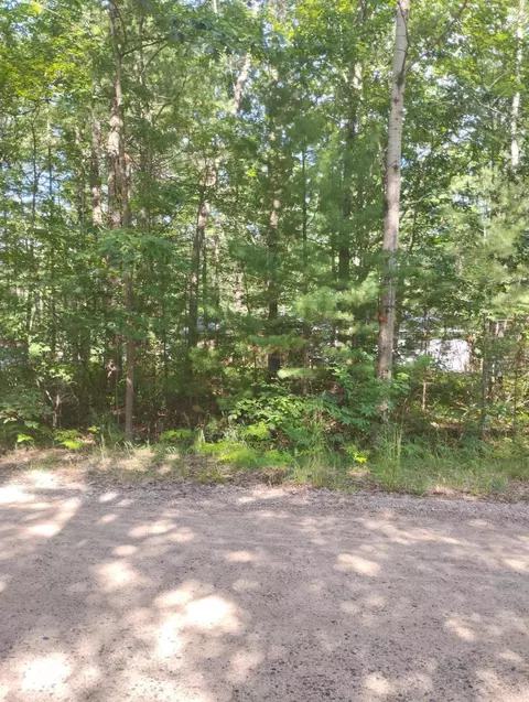 V/l .33ac W Ausable Road, Roscommon, MI 48653