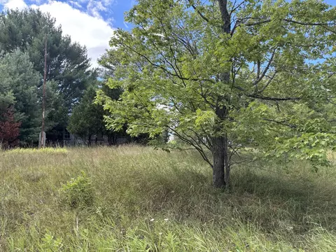 6405 Frederic St, Frederic, MI 49733