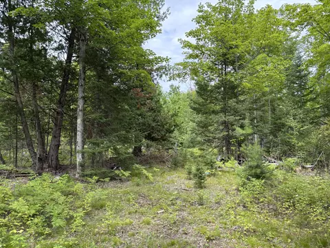 NHN Misiak Highway #40 ACRES, Presque Isle, MI 49777