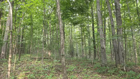14050 Trowbridge Rd, Wolverine, MI 49799 photo 7