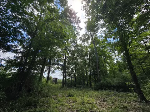 234 Schmid Rd, Fairview, MI 48621 photo 24