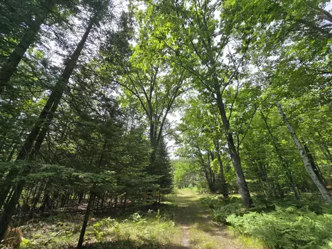 234 Schmid Rd, Fairview, MI 48621 photo 33