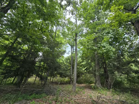 234 Schmid Rd, Fairview, MI 48621 photo 23