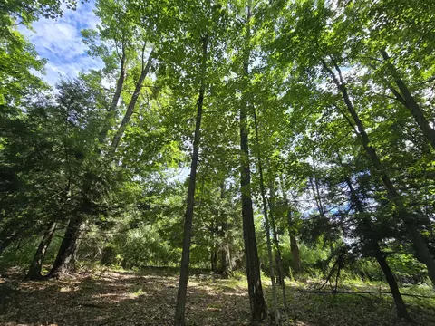 234 Schmid Rd, Fairview, MI 48621 photo 19