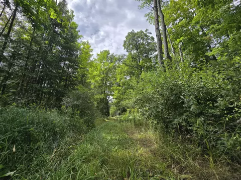 234 Schmid Rd, Fairview, MI 48621 photo 31