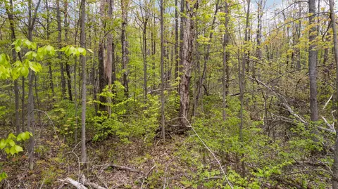 Parcel B Co Rd 491 #9.9 ACRES, Lewiston, MI 49756