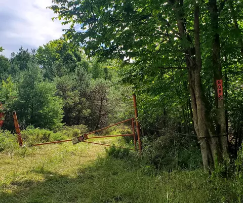 V/l 20ac Monaghan Point Road, Alpena, MI 49707