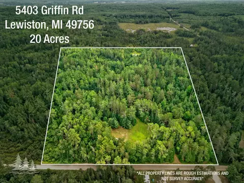 5403 Griffin Rd, Lewiston, MI 49756