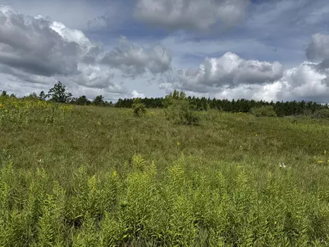 V/l13.25ac Co Rd 612 & Ann Arbor Rd, Lewiston, MI 49756