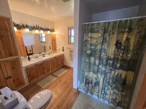 Bath - 433 Thompson Rd, Mio, MI 48647 photo 3 of 7