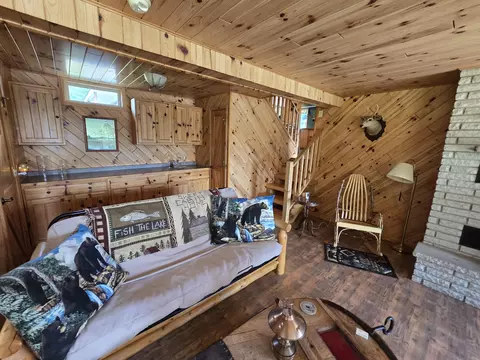 Living - 433 Thompson Rd, Mio, MI 48647 photo 5 of 6