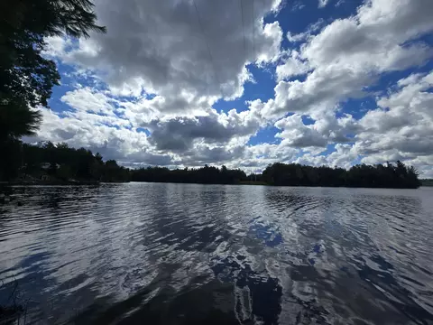 View/Area - 433 Thompson Rd, Mio, MI 48647 photo 15 of 20