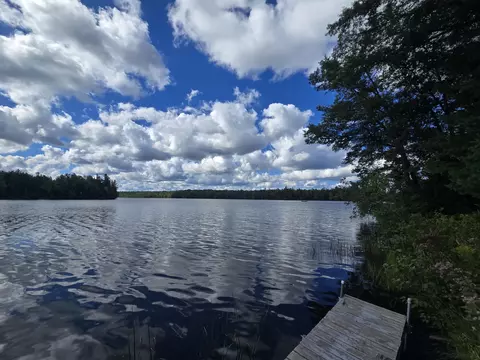 View/Area - 433 Thompson Rd, Mio, MI 48647 photo 14 of 20