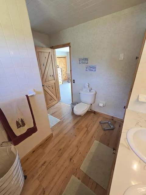 Bath - 433 Thompson Rd, Mio, MI 48647 photo 5 of 7