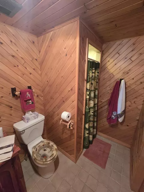Bath - 433 Thompson Rd, Mio, MI 48647 photo 2 of 7
